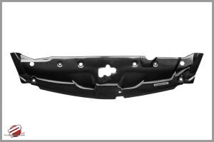 Password JDM - 2006-2011 Honda Civic Si 4dr JDM Front Password:JDM Dry Carbon Fiber Cooling Plate