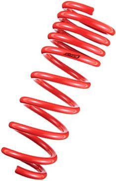 Tanabe - 1997-2001 Acura Integra Type R Tanabe DF210 Lowering Springs