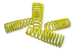 Neuspeed - 1992-1995 Honda Civic Neuspeed Race Springs