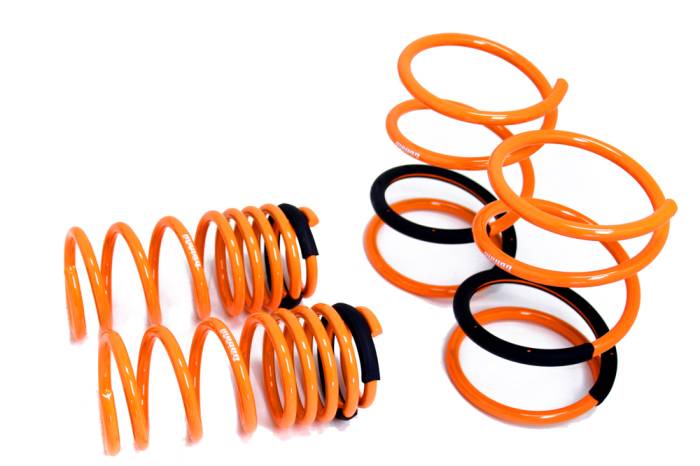 Megan Racing - 2001-2005 Honda Civic Megan Racing Lowering Springs