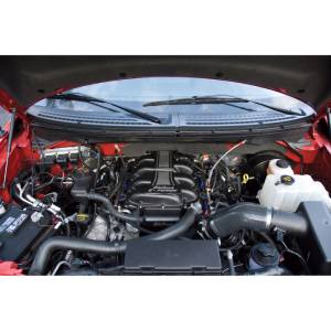 Edelbrock - Edelbrock Supercharger Stage 1 - Street Kit 2007-2012 Ford F-150 and Suv 5 4L 3V w/ Tuner 1583 - Image 7