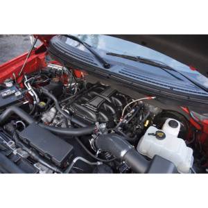 Edelbrock - Edelbrock Supercharger Stage 1 - Street Kit 2007-2012 Ford F-150 and Suv 5 4L 3V w/ Tuner 1583 - Image 9