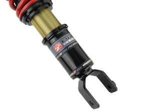 Skunk2 Racing - 1994-2001 Acura Skunk2 Integra Pro-ST Coilovers (Front 10 kg/mm - Rear 10 kg/mm) - Image 4