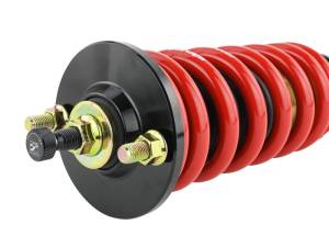 Skunk2 Racing - 1994-2001 Acura Skunk2 Integra Pro-ST Coilovers (Front 10 kg/mm - Rear 10 kg/mm) - Image 5